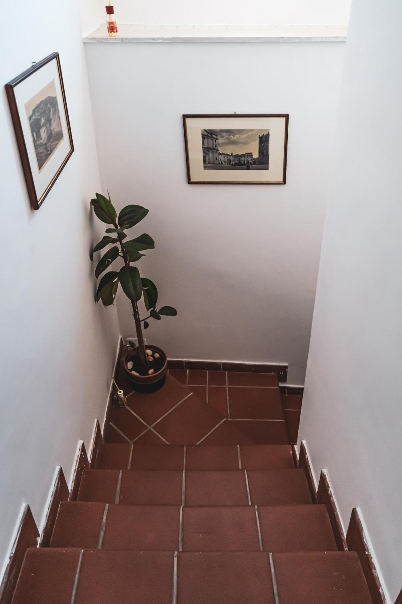 Casina Carina - Intero Appartamento Indipendente Alatri Extérieur photo